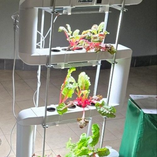 Стеллаж «Белая грядка 3.15»